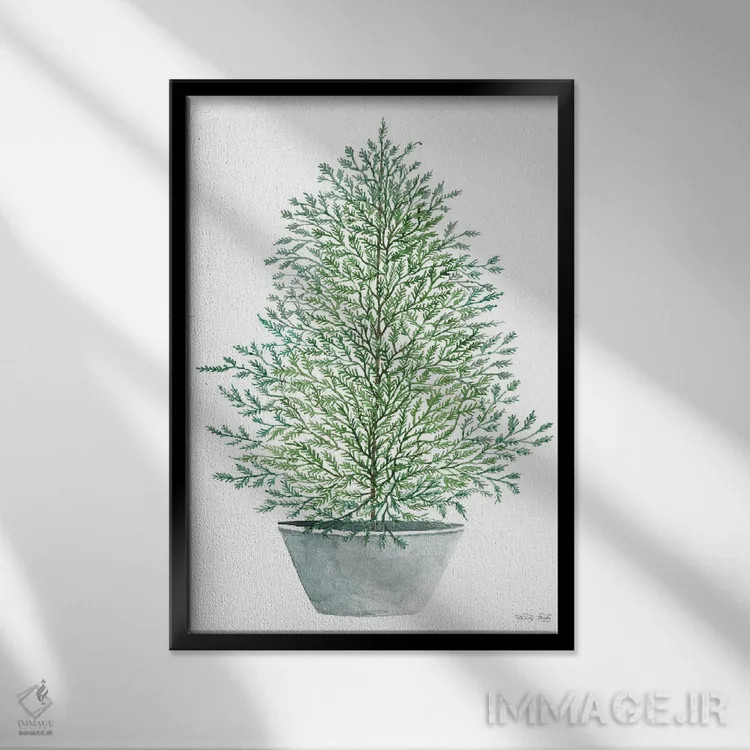 تابلو مدرن درخت سرو در گلدان اثر سیندی جیکوبز - نمای قابدار مشکی