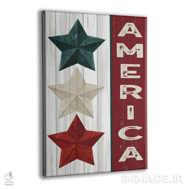 تابلو دکوراتیو آمریکا اثر سیندی جیکوبز - نمای پرسپکتیو محصول
