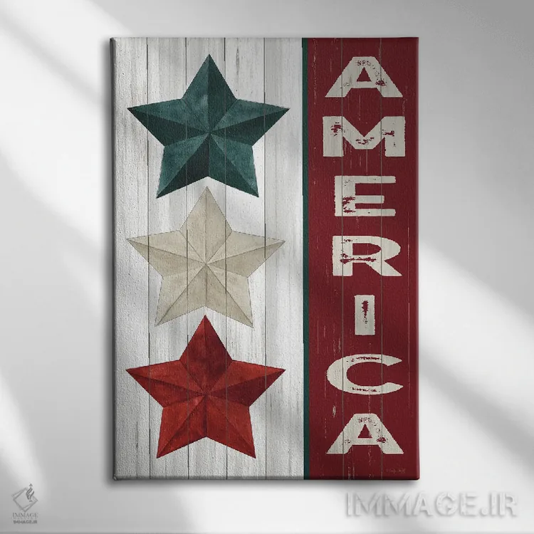 تابلو دکوراتیو آمریکا اثر سیندی جیکوبز - نمای روبهرو روی دیوار