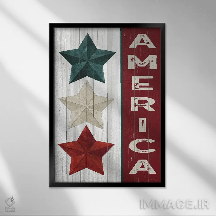 تابلو دکوراتیو آمریکا اثر سیندی جیکوبز - نمای قابدار مشکی