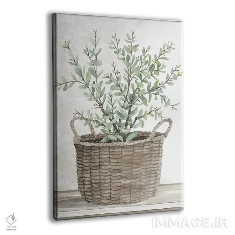 تابلو مدرن سبد اکالیپتوس اثر سیندی جیکوبز - نمای پرسپکتیو محصول