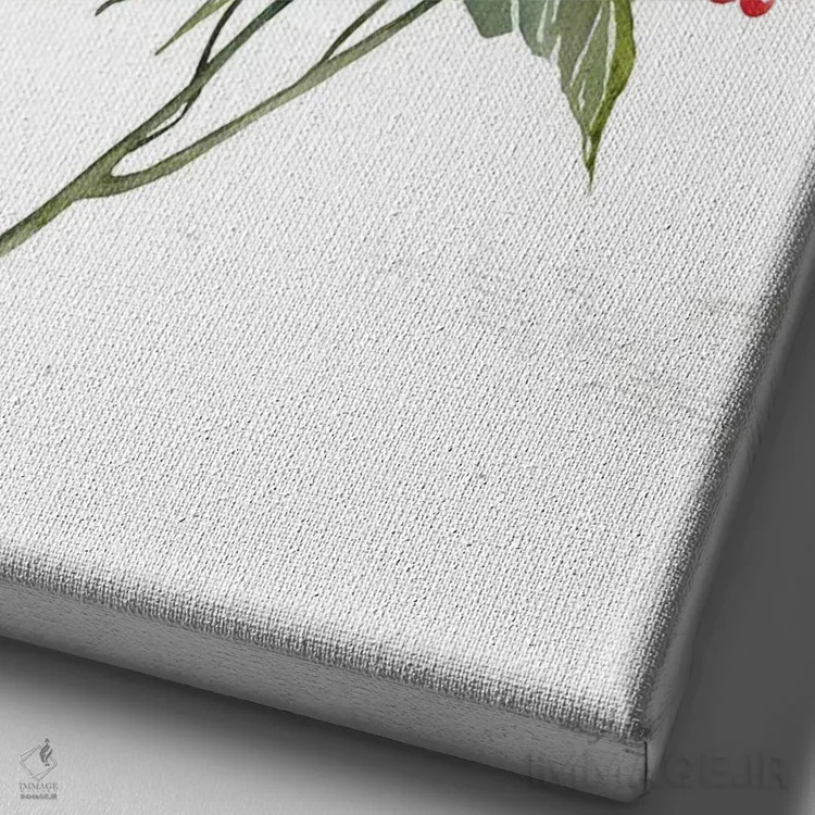تابلو مدرن رز کریسمسی گیاهی اثر سیندی جیکوبز - نمای نزدیک بافت بوم