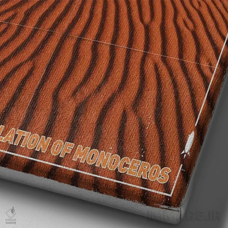 تابلو دکوراتیو پوستر سفر به سیاره فراخورشیدی V: کوروت-۴ اثر چانکونگ - نمای نزدیک بافت بوم