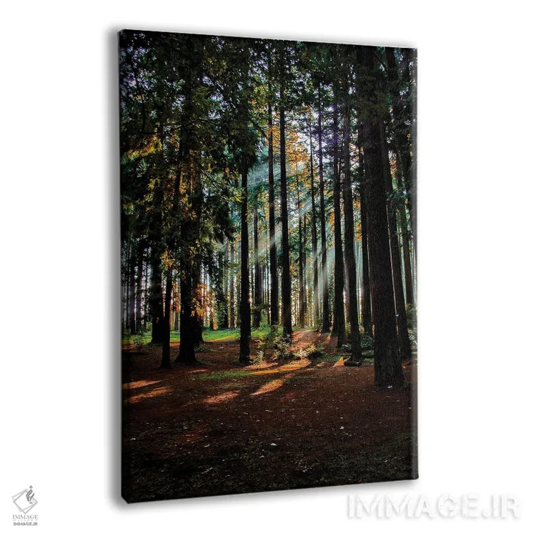 تابلو دکوراتیو خورشید از میان مه اثر کت کریگن - نمای پرسپکتیو محصول