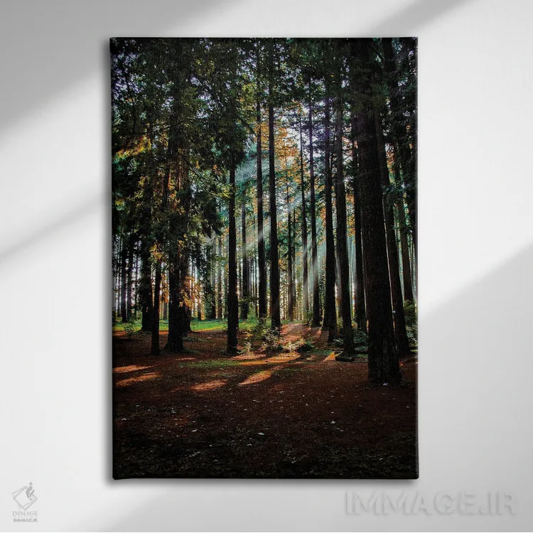 تابلو دکوراتیو خورشید از میان مه اثر کت کریگن - نمای روبهرو روی دیوار