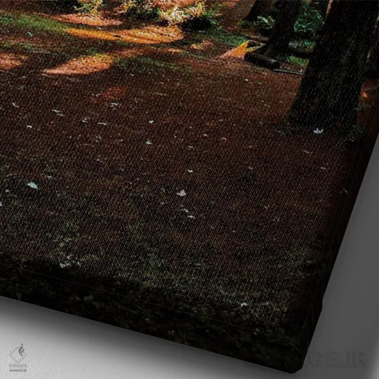 تابلو دکوراتیو خورشید از میان مه اثر کت کریگن - نمای نزدیک بافت بوم