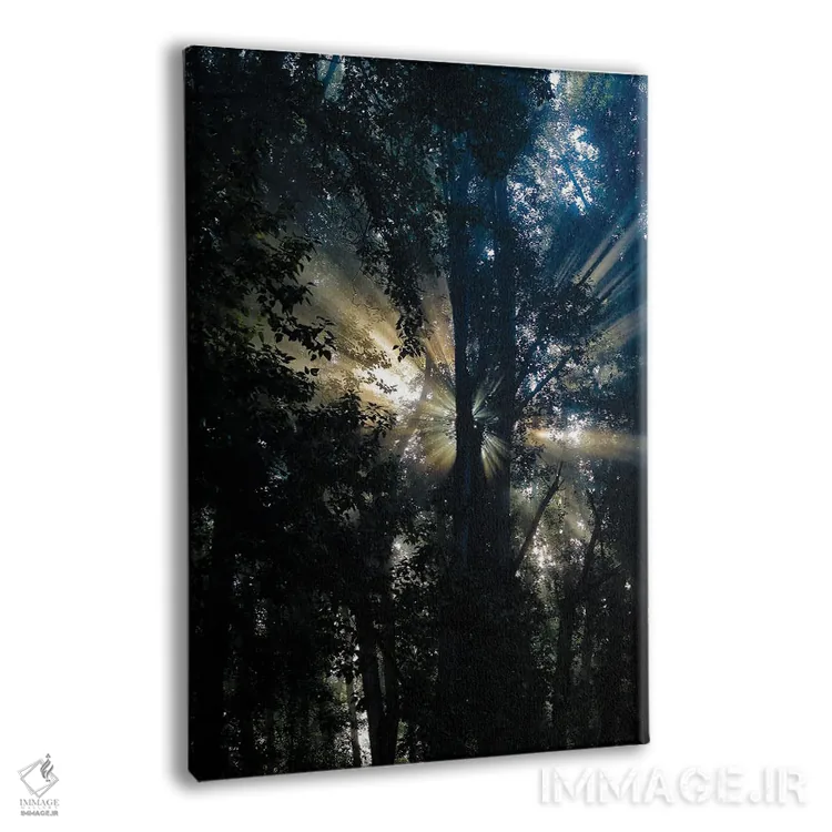 تابلو دکوراتیو نور پراکنده اثر کت کریگن - نمای پرسپکتیو محصول