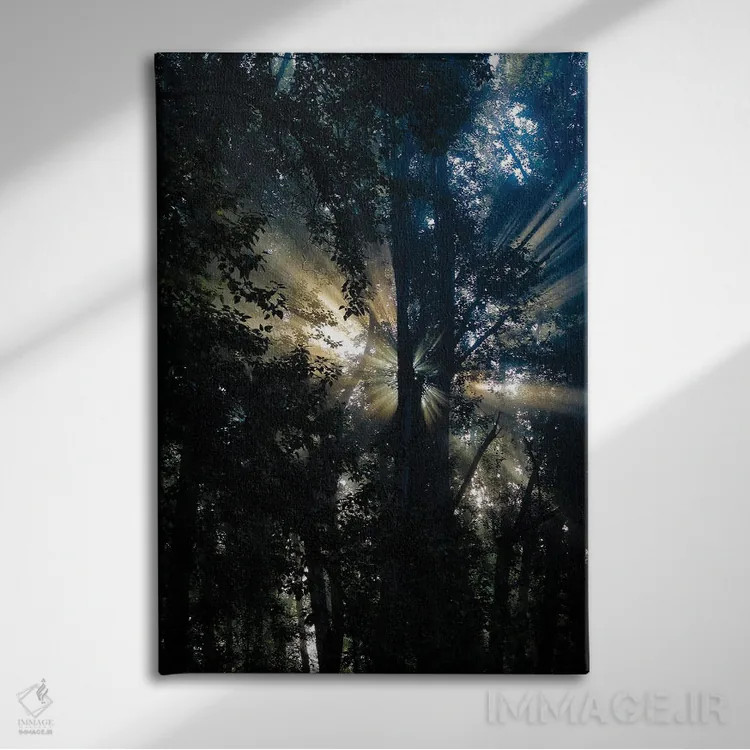 تابلو دکوراتیو نور پراکنده اثر کت کریگن - نمای روبهرو روی دیوار