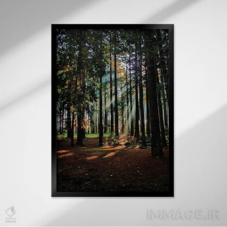 تابلو دکوراتیو خورشید از میان مه اثر کت کریگن - نمای قابدار مشکی