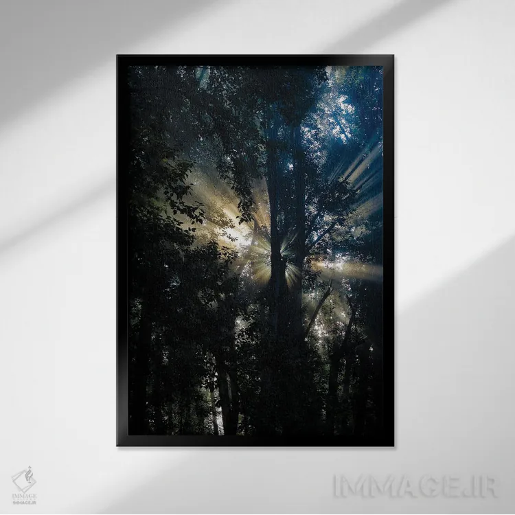 تابلو دکوراتیو نور پراکنده اثر کت کریگن - نمای قابدار مشکی