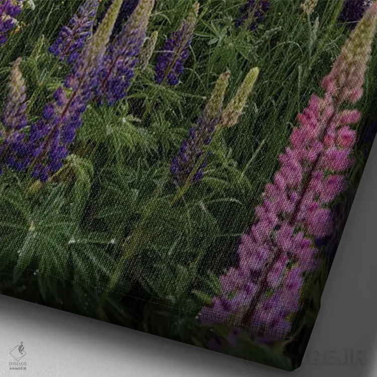 تابلو دکوراتیو لوپین ها در مه بخش ۳ اثر کریستین لیندستن - نمای نزدیک بافت بوم