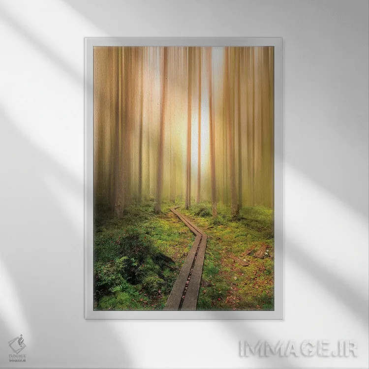 تابلو دکوراتیو به سوی نور اثر کریستین لیندستن - نمای قابدار سفید