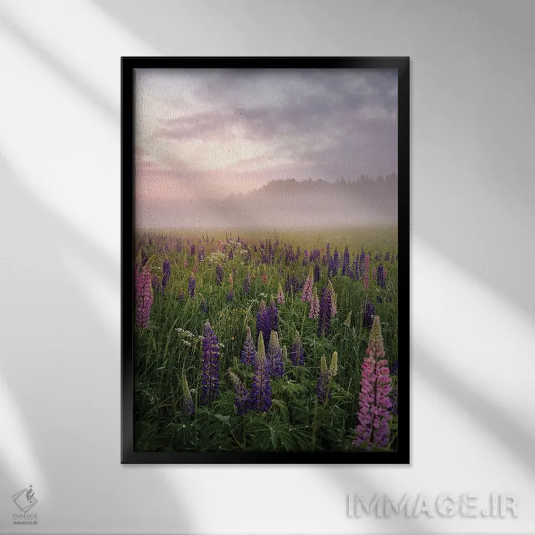 تابلو دکوراتیو لوپین ها در مه بخش ۳ اثر کریستین لیندستن - نمای قابدار مشکی