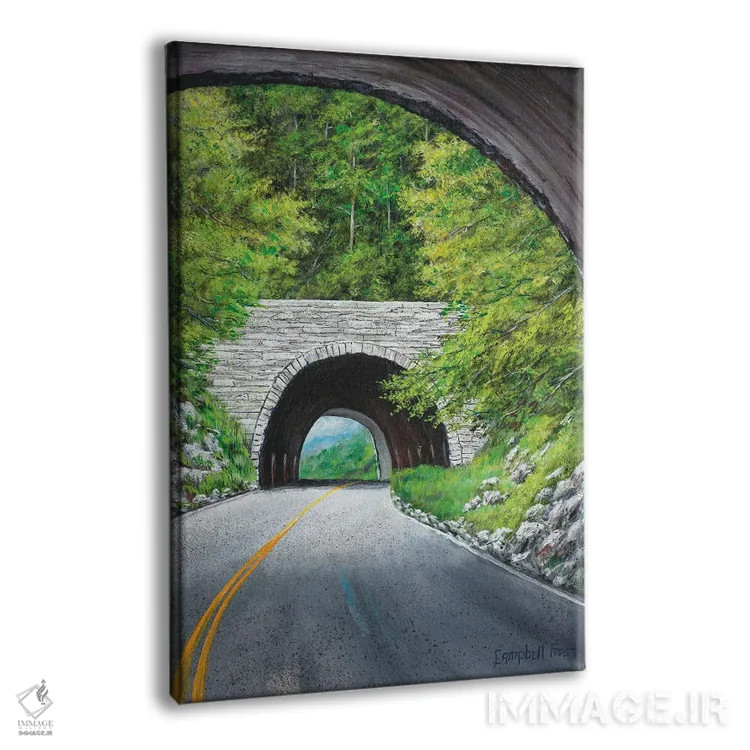 تابلو دکوراتیو حلقه بلو ریج اثر کمبل فراست - نمای پرسپکتیو محصول