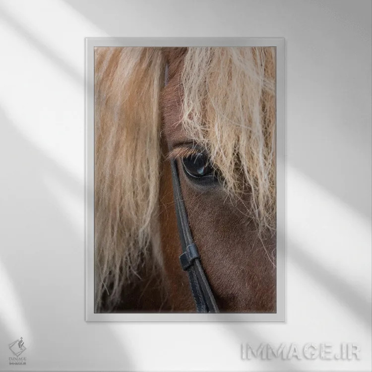 تابلو دکوراتیو جزئیات اسب حنایی با یال کتان اثر سیندی میلر هاپکینز - نمای قابدار سفید