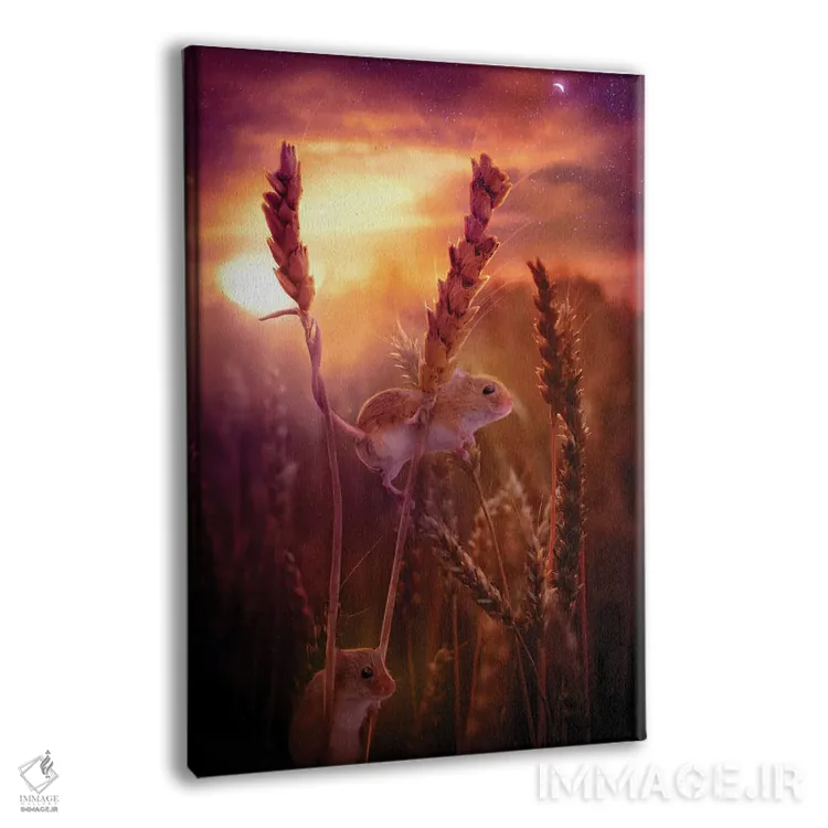 تابلو دکوراتیو اینجا و آنجا اثر کلودیا مک کینی - نمای پرسپکتیو محصول