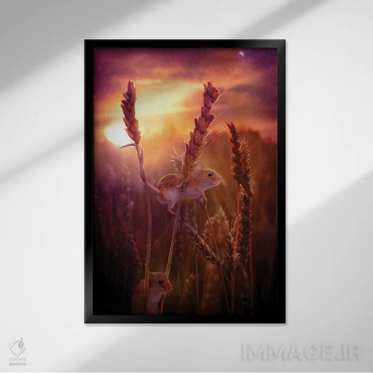 تابلو دکوراتیو اینجا و آنجا اثر کلودیا مک کینی - نمای قابدار مشکی