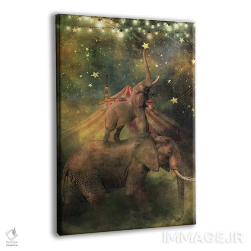 تابلو دکوراتیو آرزوهای ستاره ای اثر کلودیا مک کینی - نمای پرسپکتیو محصول