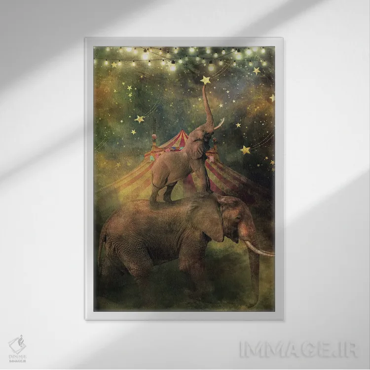 تابلو دکوراتیو آرزوهای ستاره ای اثر کلودیا مک کینی - نمای قابدار سفید