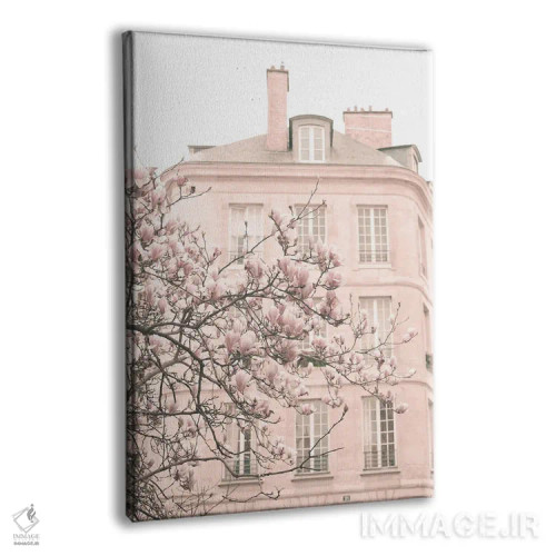 تابلو دکوراتیو پاریس در صورتی کمرنگ، ماره اول اثر کارولین مینت - نمای پرسپکتیو محصول