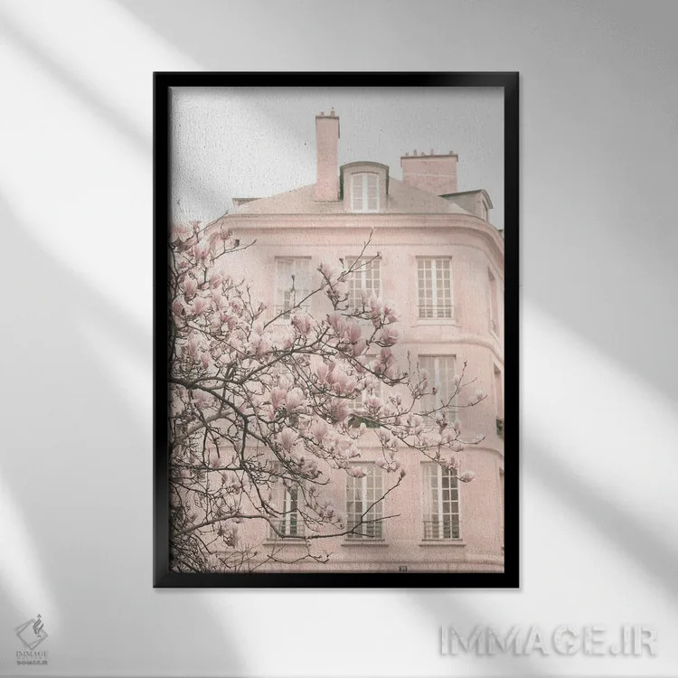 تابلو دکوراتیو پاریس در صورتی کمرنگ، ماره اول اثر کارولین مینت - نمای قابدار مشکی