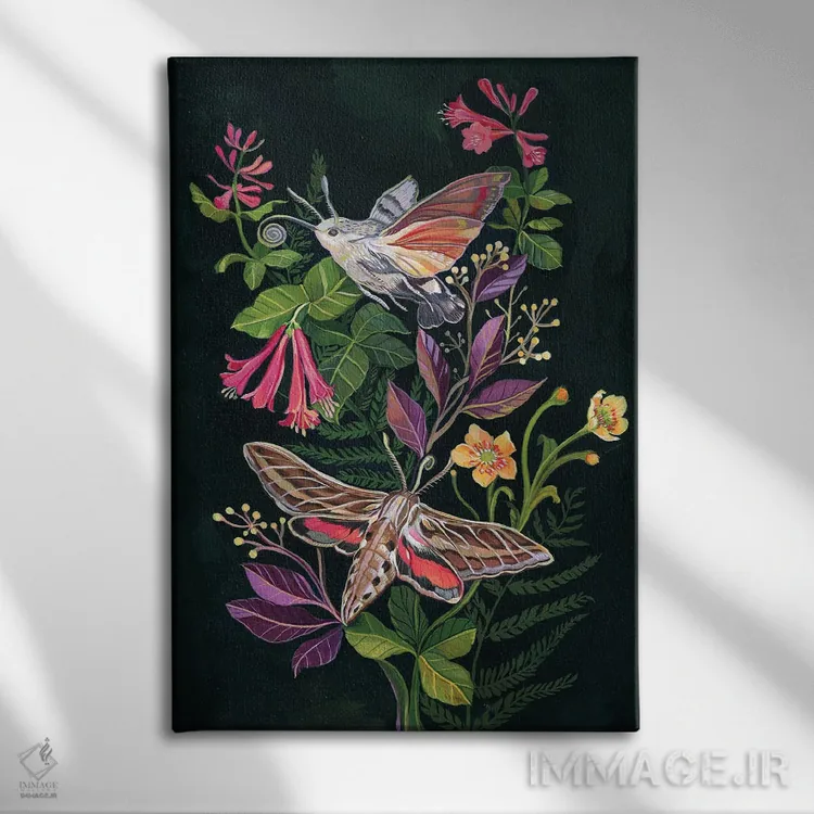 تابلو دکوراتیو شب پره مرغ مگس خوار اثر کلارا مک آلیستر - نمای روبهرو روی دیوار