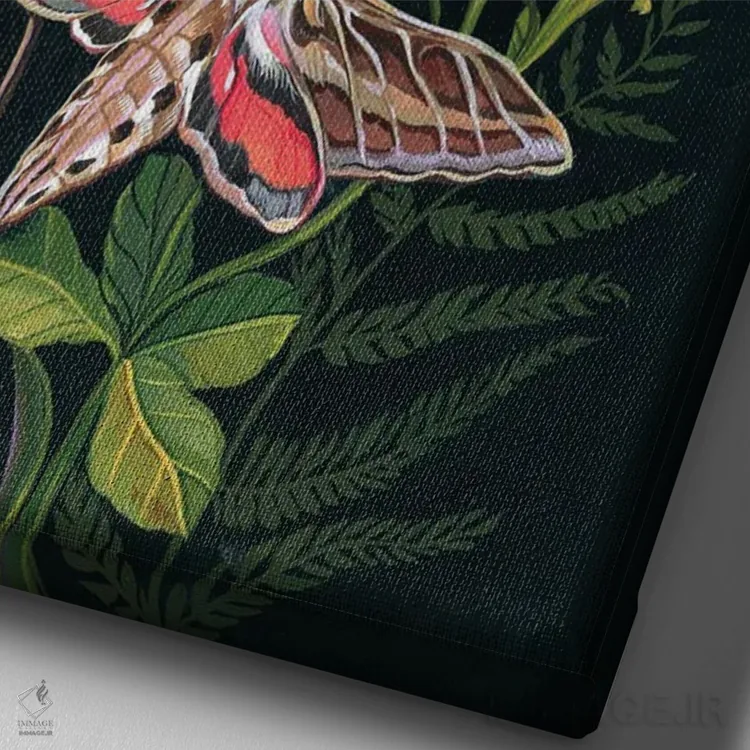 تابلو دکوراتیو شب پره مرغ مگس خوار اثر کلارا مک آلیستر - نمای نزدیک بافت بوم