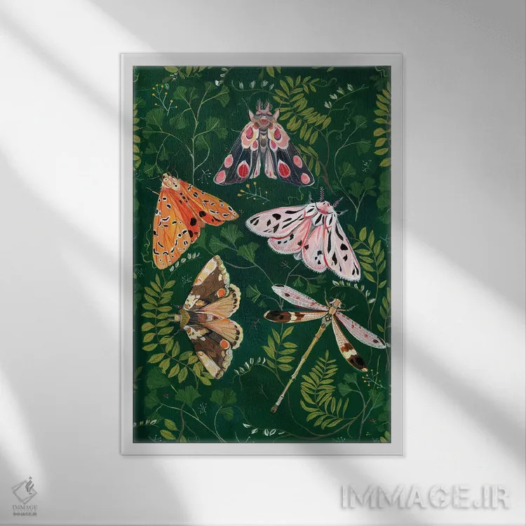 تابلو دکوراتیو شب پره ها اثر کلارا مک آلیستر - نمای قابدار سفید