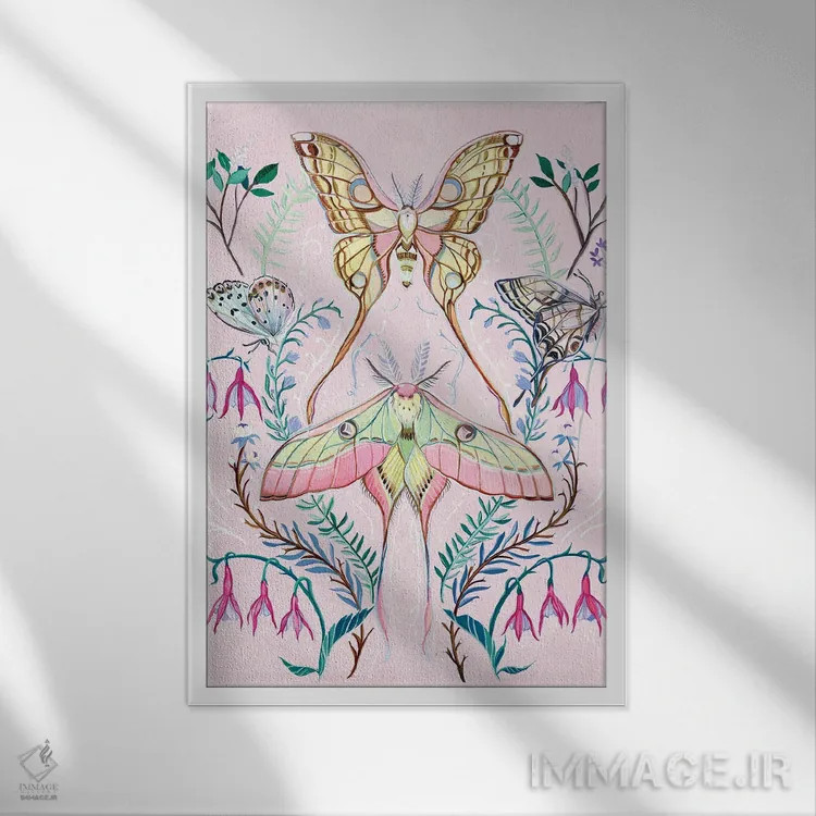 تابلو دکوراتیو شب پره ماه چینی اثر کلارا مک آلیستر - نمای قابدار سفید