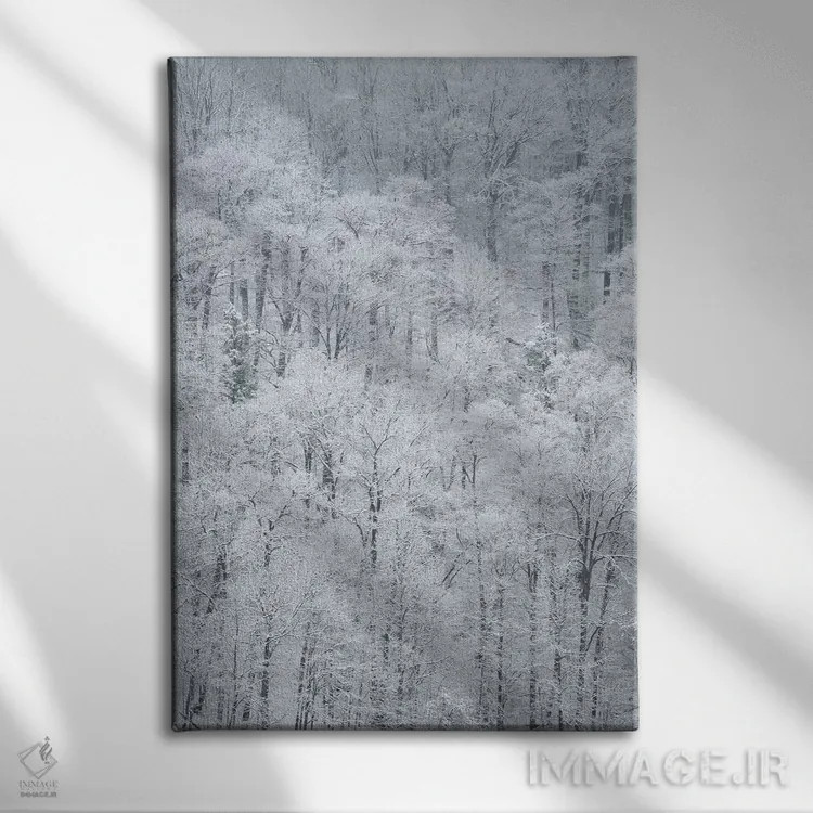 تابلو دکوراتیو New York State. Snow covered trees, Green Lakes State Park,آم… اثر کریس موری - نمای روبهرو روی دیوار