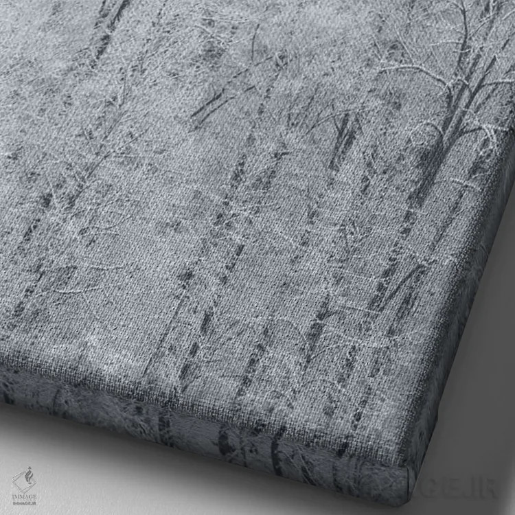 تابلو دکوراتیو New York State. Snow covered trees, Green Lakes State Park,آم… اثر کریس موری - نمای نزدیک بافت بوم