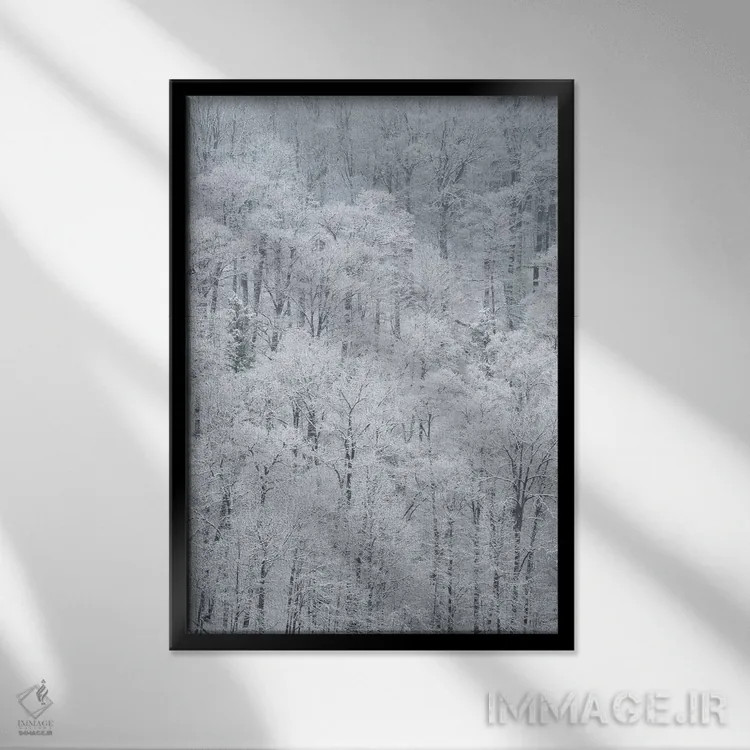 تابلو دکوراتیو New York State. Snow covered trees, Green Lakes State Park,آم… اثر کریس موری - نمای قابدار مشکی