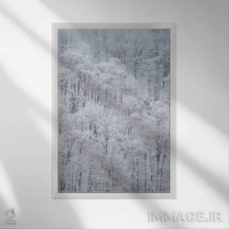 تابلو دکوراتیو New York State. Snow covered trees, Green Lakes State Park,آم… اثر کریس موری - نمای قابدار سفید