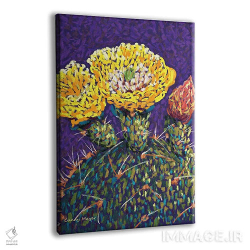 تابلو دکوراتیو گل انجیر خارگی اثر کندی مایر - نمای پرسپکتیو محصول