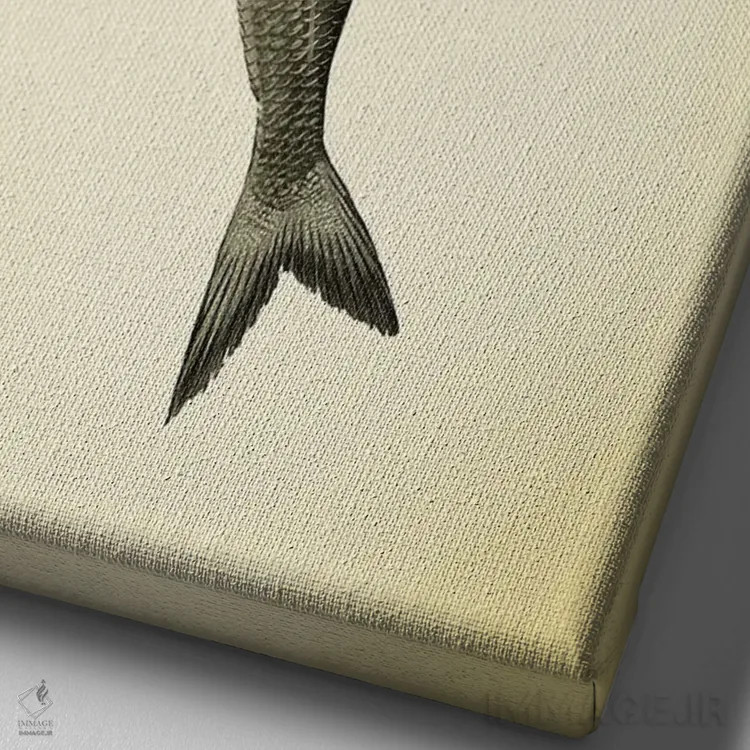 تابلو مدرن دختر قو قدیمی اثر کارولین کسلسی - نمای نزدیک بافت بوم