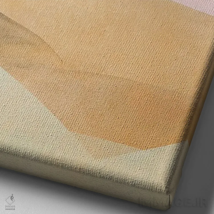 تابلو دکوراتیو بانوی صورتی اثر کارولین کسلسی - نمای نزدیک بافت بوم