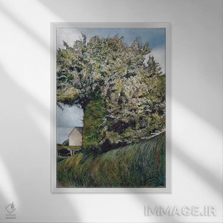تابلو دکوراتیو برش عرضی اثر کترین پاتریکسون - نمای قابدار سفید