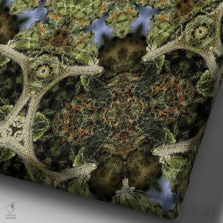 تابلو دکوراتیو کالیودوسکوپ شاهدانه شماره ۲۷ اثر نائوم دورخمان - نمای نزدیک بافت بوم