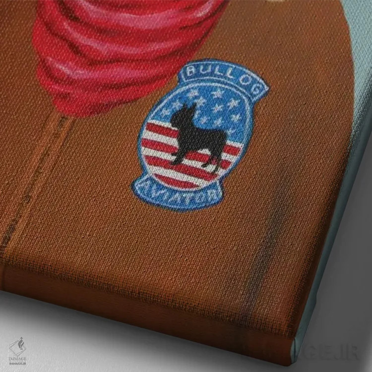 تابلو دکوراتیو بولداگ خلبان اثر کوکو د پاریس - نمای نزدیک بافت بوم