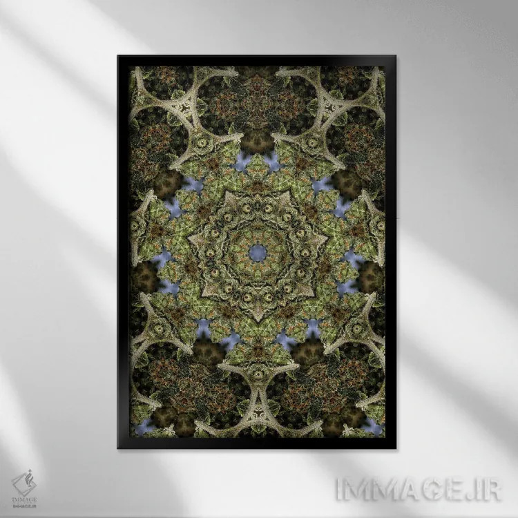 تابلو دکوراتیو کالیودوسکوپ شاهدانه شماره ۲۷ اثر نائوم دورخمان - نمای قابدار مشکی