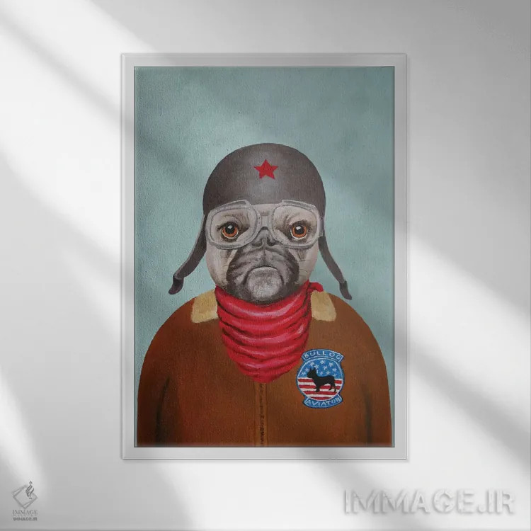 تابلو دکوراتیو بولداگ خلبان اثر کوکو د پاریس - نمای قابدار سفید
