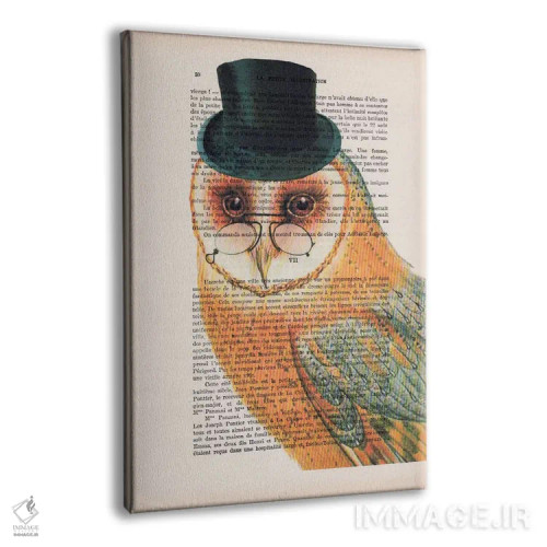 تابلو دکوراتیو جغد با کلاه اثر کوکو د پاریس - نمای پرسپکتیو محصول