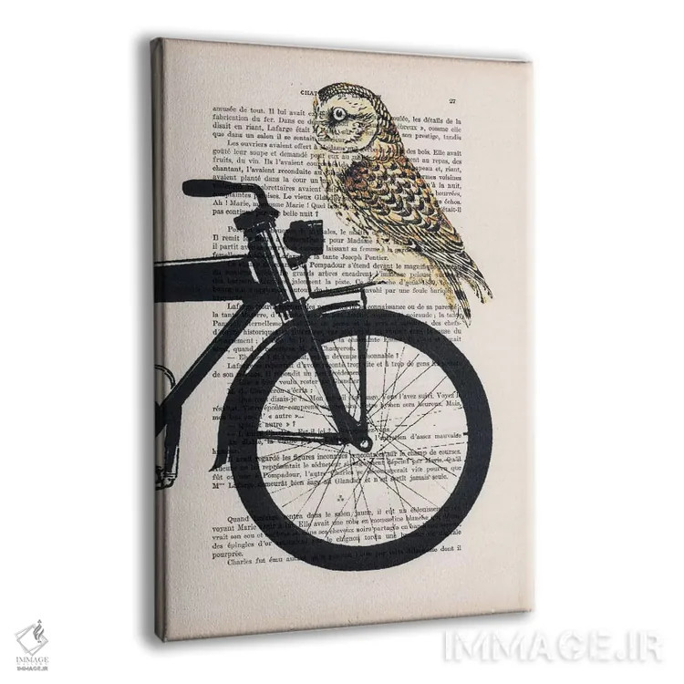 تابلو مدرن جغد روی دوچرخه اثر کوکو د پاریس - نمای پرسپکتیو محصول