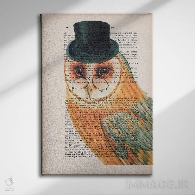 تابلو دکوراتیو جغد با کلاه اثر کوکو د پاریس - نمای روبهرو روی دیوار