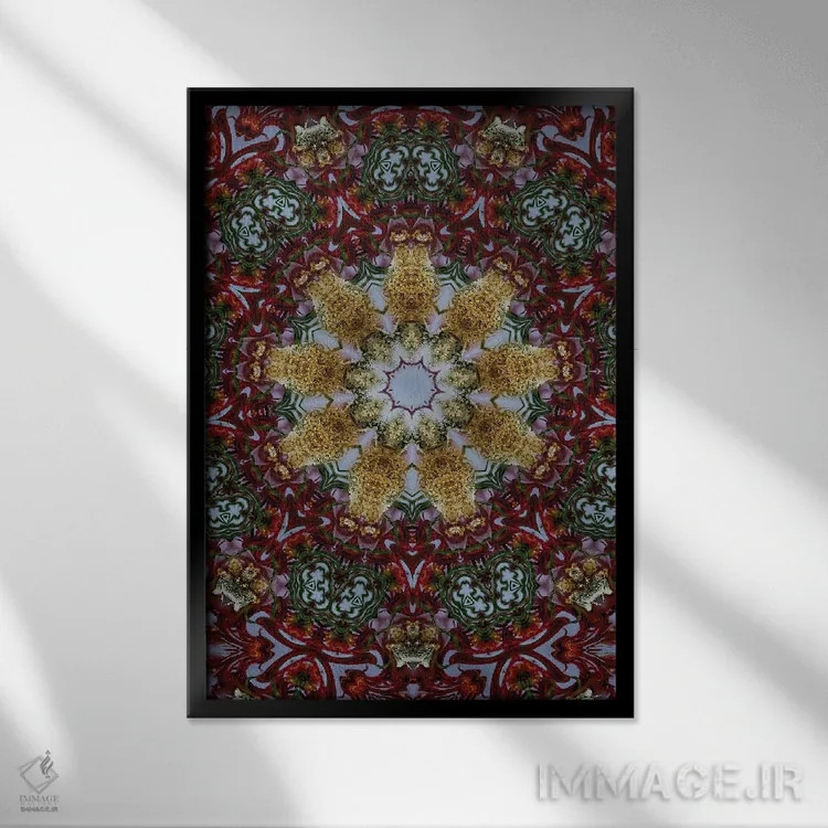 تابلو دکوراتیو کالیودوسکوپ شاهدانه شماره ۲۵ اثر نائوم دورخمان - نمای قابدار مشکی