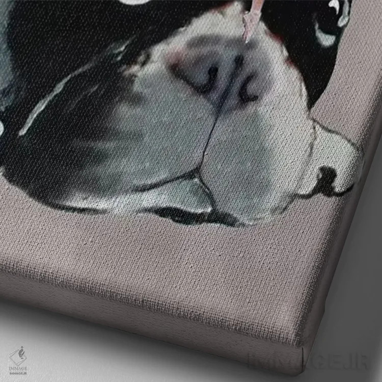 تابلو دکوراتیو بولداگ با رقصندگان اثر کوکو د پاریس - نمای نزدیک بافت بوم