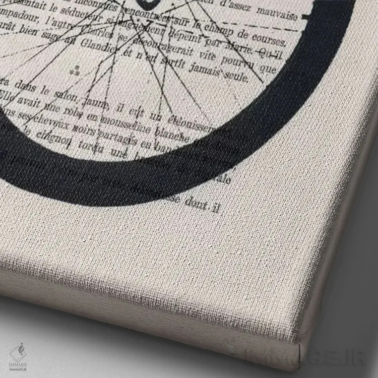 تابلو مدرن جغد روی دوچرخه اثر کوکو د پاریس - نمای نزدیک بافت بوم