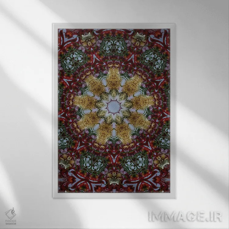تابلو دکوراتیو کالیودوسکوپ شاهدانه شماره ۲۵ اثر نائوم دورخمان - نمای قابدار سفید