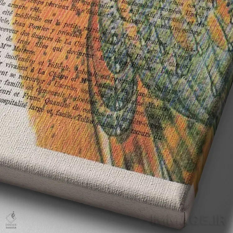 تابلو دکوراتیو جغد با کلاه اثر کوکو د پاریس - نمای نزدیک بافت بوم