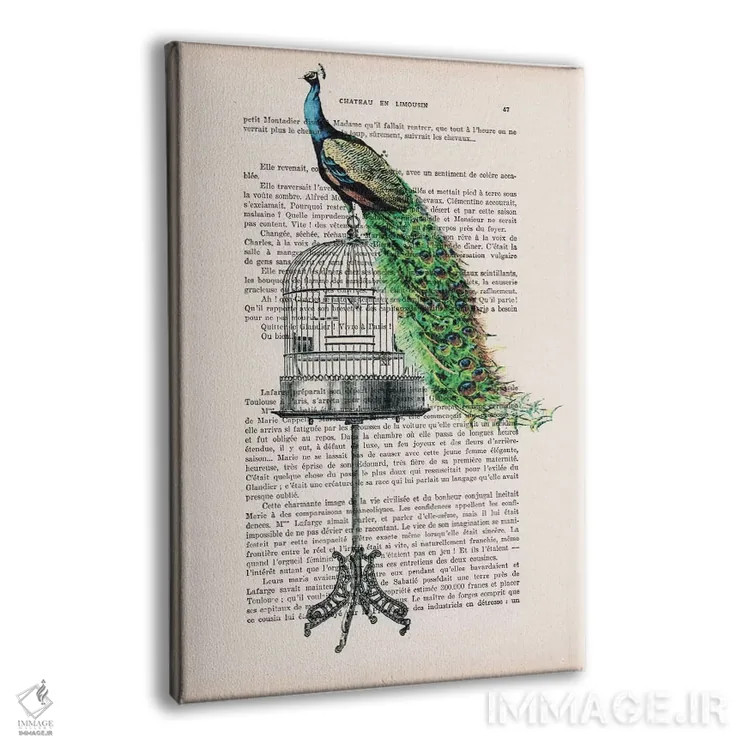 تابلو دکوراتیو طاووس روی قفس پرنده اثر کوکو د پاریس - نمای پرسپکتیو محصول